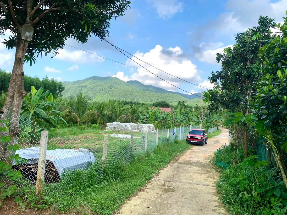 Bán đất 6.000m² có thổ cư Bình Điền Huế - Ảnh thu nhỏ 2