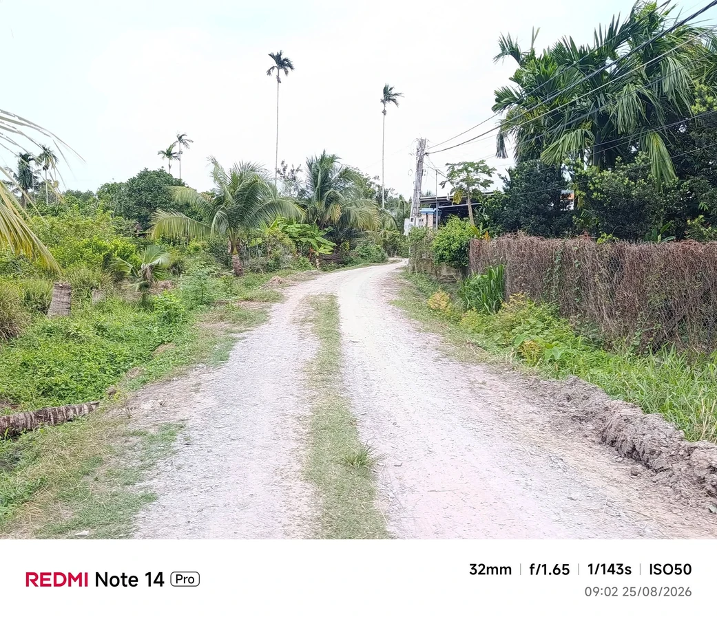 Bán đất Phường An Tịnh, Trảng Bàng, 50m², 590 triệu - Ảnh thu nhỏ 4