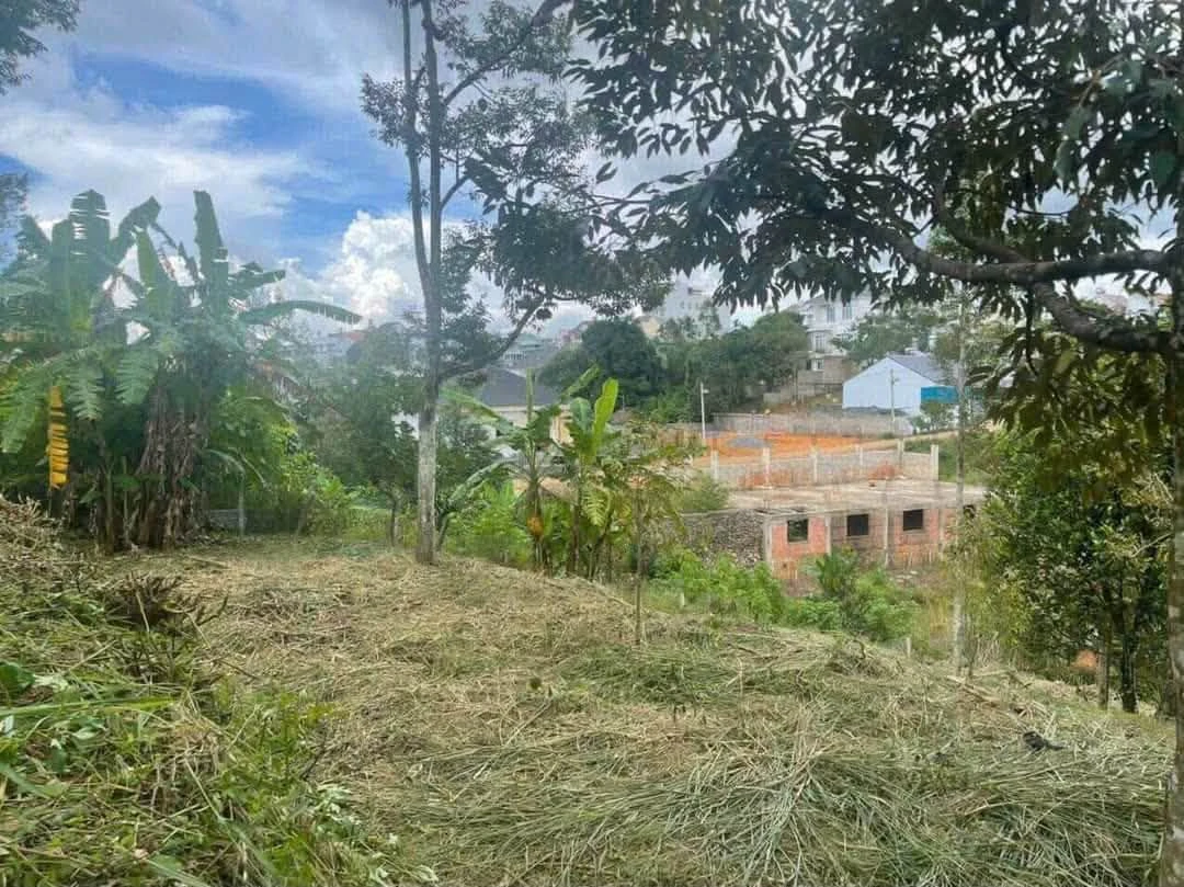 Bán đất 787m² ngay trung tâm Bảo Lộc, giá 3 tỷ - Ảnh thu nhỏ 3
