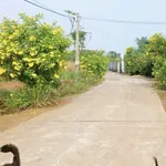 Bán lô đất 6,5 sào ở Xuân Trường, Đồng Nai, 3,2 tỷ - Ảnh thu nhỏ 3