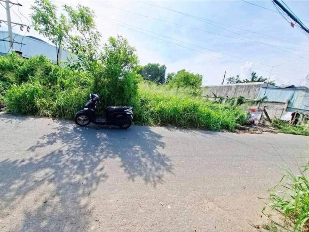 Bán 2 lô đất thổ cư Phú An Bình Dương - Ảnh 1