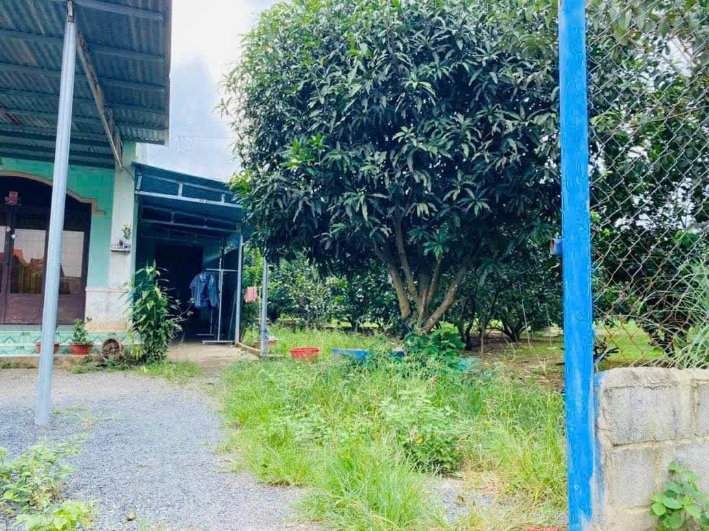 Bán đất vườn 560m2 Vĩnh Cửu, Đồng Nai - Ảnh thu nhỏ 3