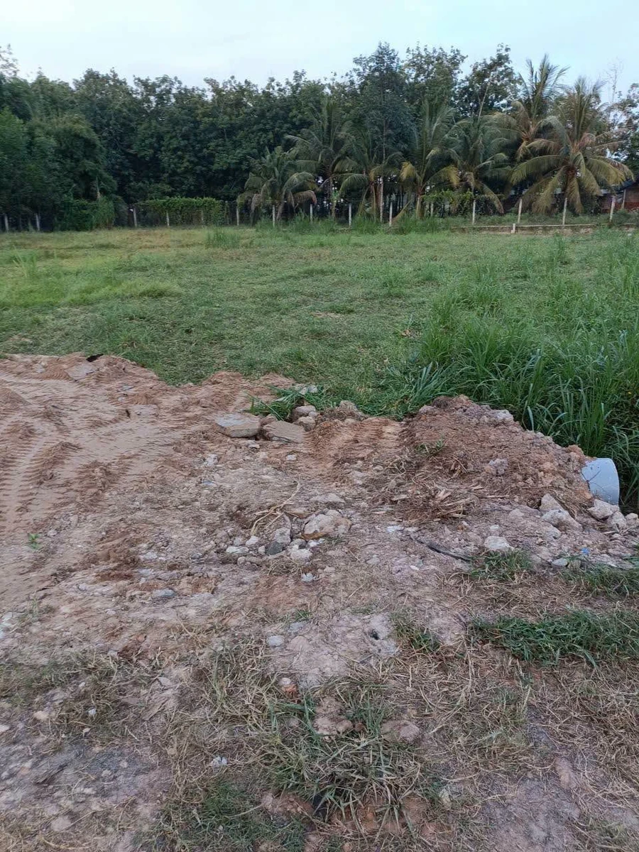 Bán đất mặt tiền ấp Tầm Long, Tây Ninh, 185m², 290 triệu - Ảnh thu nhỏ 2
