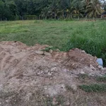 Bán đất mặt tiền ấp Tầm Long, Tây Ninh, 185m², 290 triệu - Ảnh thu nhỏ 2