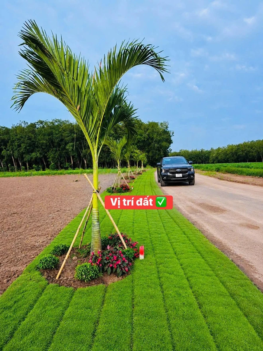 Bán đất nền 100m2 Minh Lập Chơn Thành Đồng Nai 380 triệu - Ảnh thu nhỏ 2