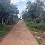 Bán đất nền 250m² Eadrong Buôn Hồ 360 triệu - Ảnh thu nhỏ 2