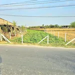 Bán đất mặt tiền 2.300m² Phước Thạnh 3,65 tỷ - Ảnh thu nhỏ 1