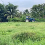 Bán đất thổ cư 420m2 tại Xã Phan, Cần Giờ - 495 triệu - Ảnh thu nhỏ 5