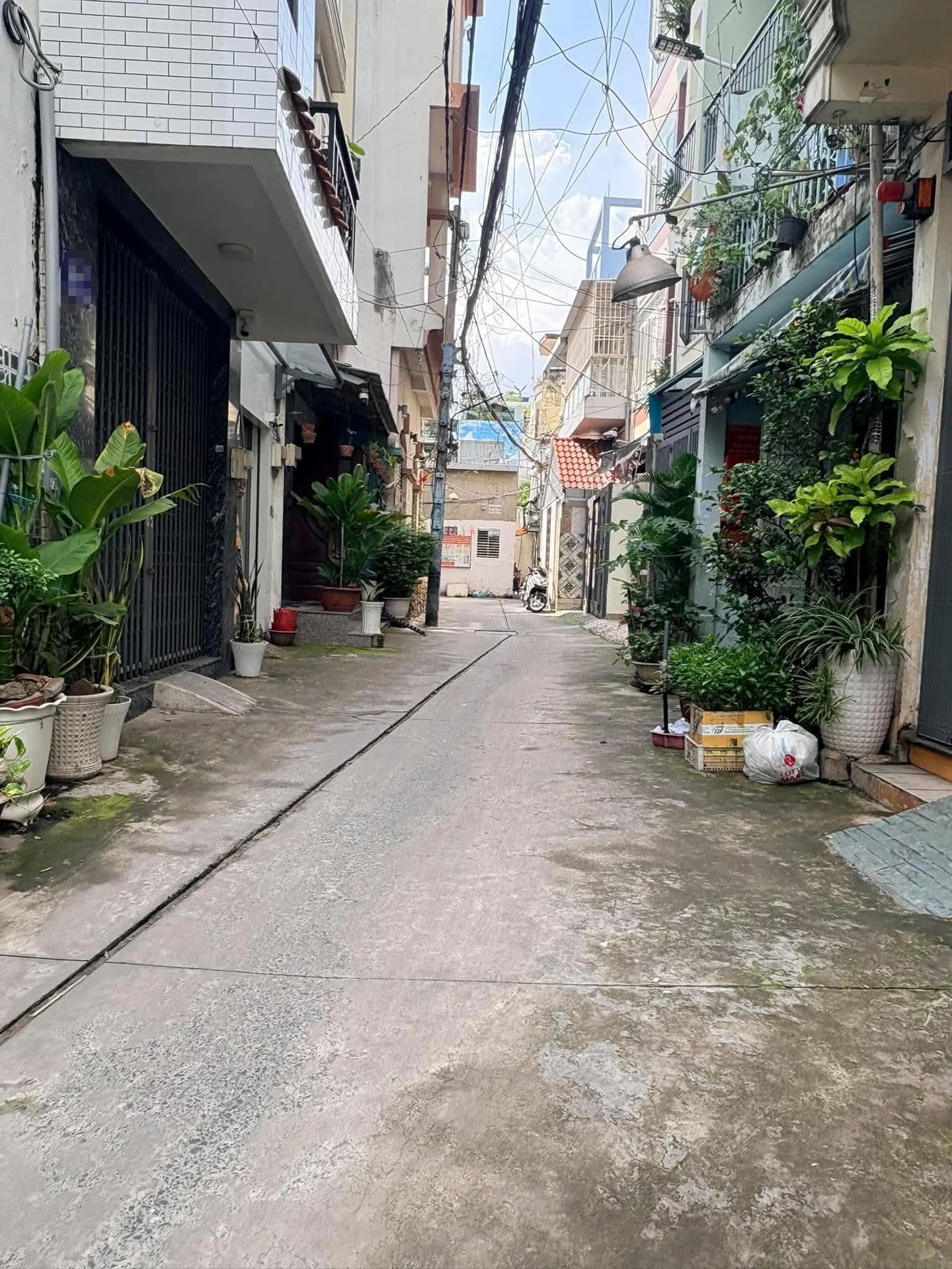Bán nhà 5 tầng 5PN đường Lạc Long Quân, Quận 11, 53m², giá 8 tỷ - Ảnh 1