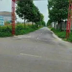 Bán lô đất sổ riêng thổ cư 100% 100m² Trảng Dài Biên Hòa - Ảnh thu nhỏ 2