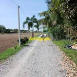 Bán đất Châu Thành Tây Ninh 10×107m, 350 triệu - Ảnh thu nhỏ 3