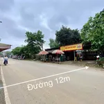 Bán đất kinh doanh Phú Mãn 116m² mặt đường trục chính - Ảnh thu nhỏ 1