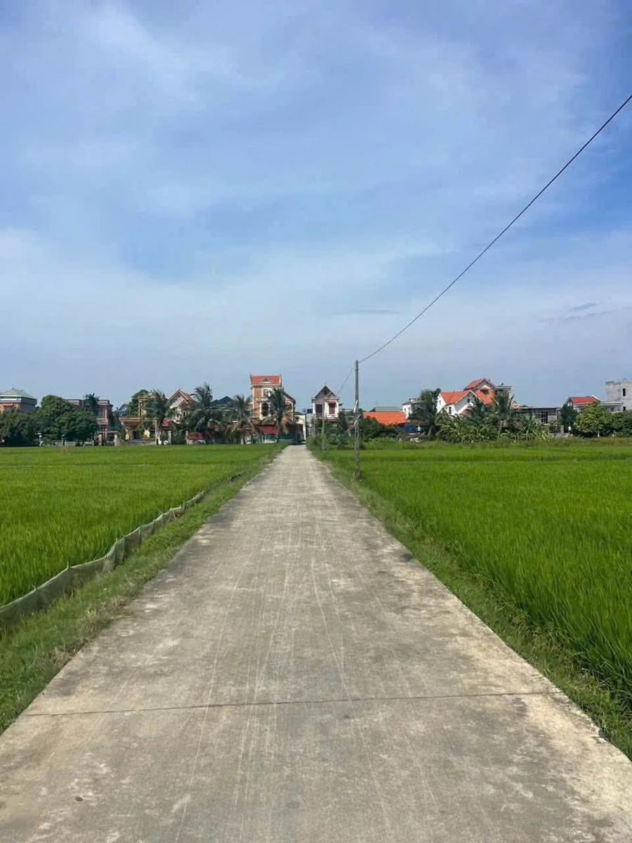 Bán lô đất 115m² Xã Mao Điền, Hải Phòng 1,9 tỷ - Ảnh thu nhỏ 4