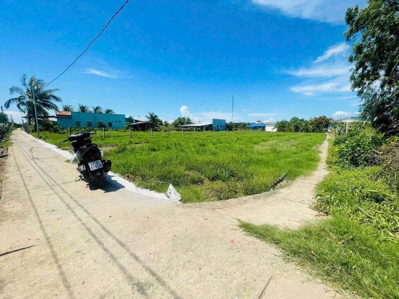 Bán đất nền 1420m² tại Xã Hoà Phú, Châu Thành, Long An