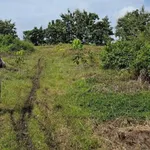 Bán đất 1.9ha, view suối tại Thiện Hưng, Đồng Nai - Ảnh thu nhỏ 1