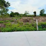 Bán đất 1.080m² mặt bê tông tại Châu Pha 1.65 tỷ - Ảnh thu nhỏ 2