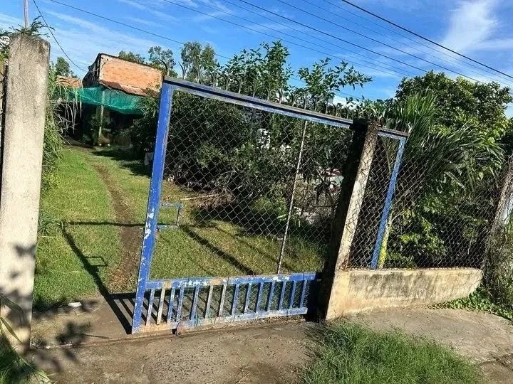 Bán đất chính chủ 150m2 thổ cư, đường đan 5m, giá 500 triệu tại Thạnh Phước, Bình Đại - Ảnh 1