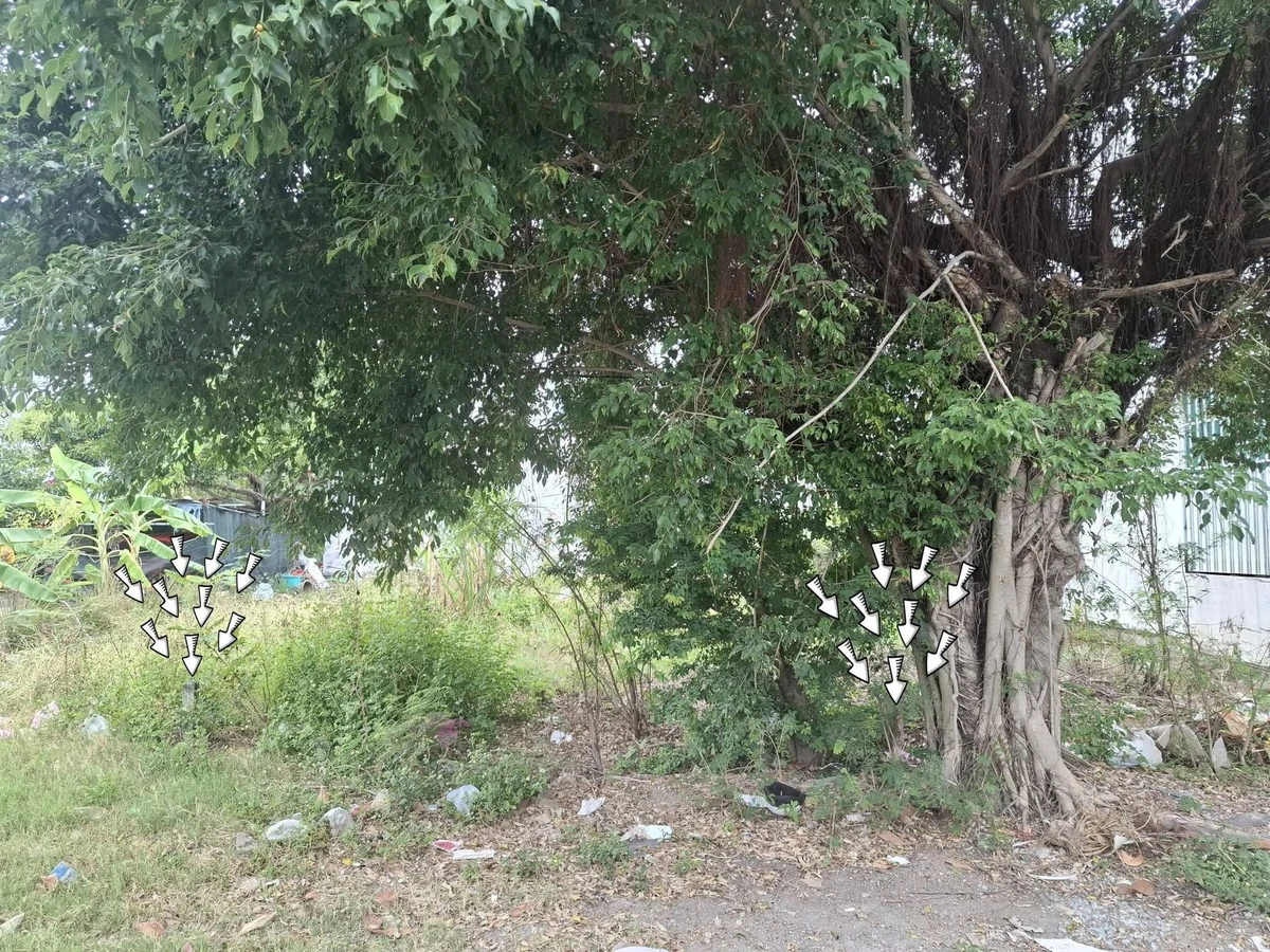 Bán đất nền Vĩnh Hiệp Nha Trang 100m2 giá 3,5 tỷ - Ảnh thu nhỏ 2