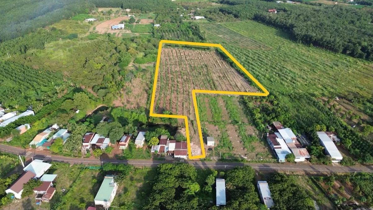 Bán đất 2ha mặt tiền Hưng Phước Đồng Nai - Ảnh thu nhỏ 2