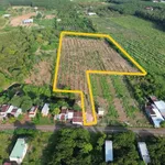 Bán đất 2ha mặt tiền Hưng Phước Đồng Nai - Ảnh thu nhỏ 2