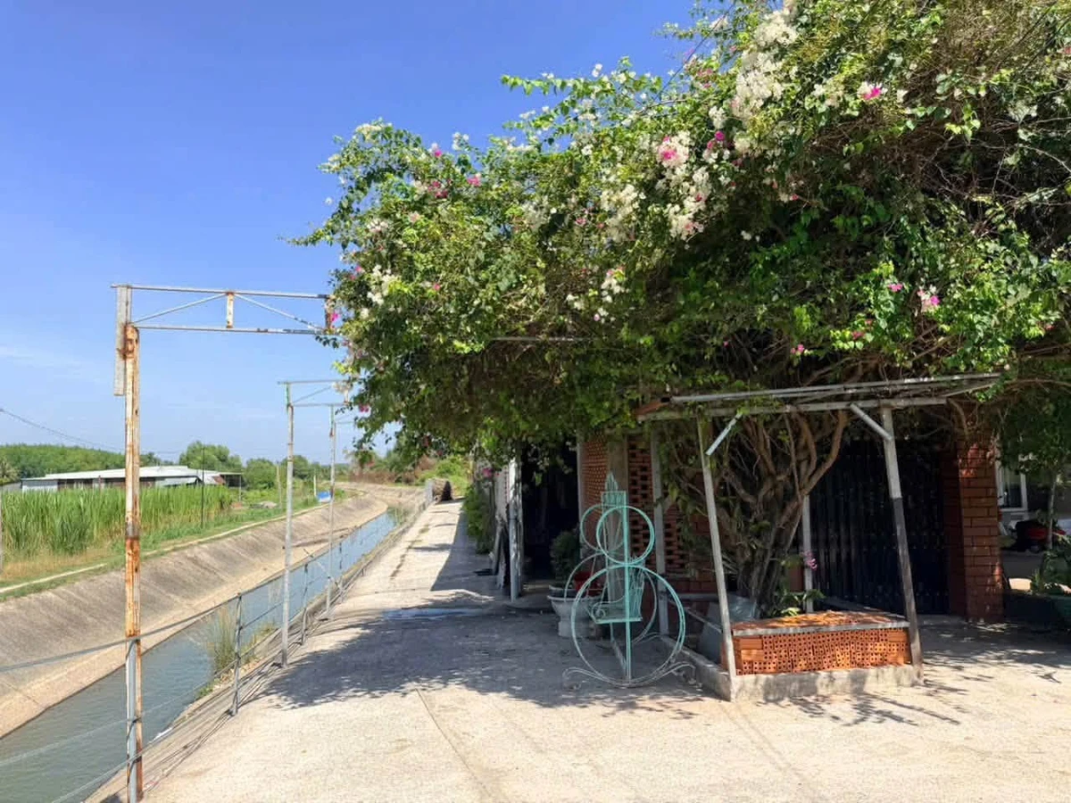 Bán nhà riêng 192m² mặt tiền view kênh 800 triệu Tây Ninh - Ảnh thu nhỏ 4
