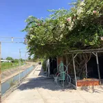 Bán nhà riêng 192m² mặt tiền view kênh 800 triệu Tây Ninh - Ảnh thu nhỏ 4