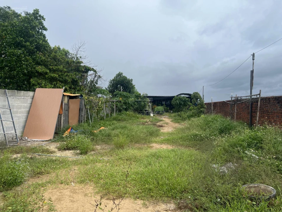540m đất ở Hội An Tây, cách Nguyễn Tất Thành 500m, chiều ngang 10.5m, đường 13.5m. Giá chỉ 5,56tỷ - Ảnh thu nhỏ 4