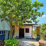 Bán nhà mặt tiền Lê Văn Tưởng Tân An Long An 250m² 1,55 tỷ - Ảnh thu nhỏ 1