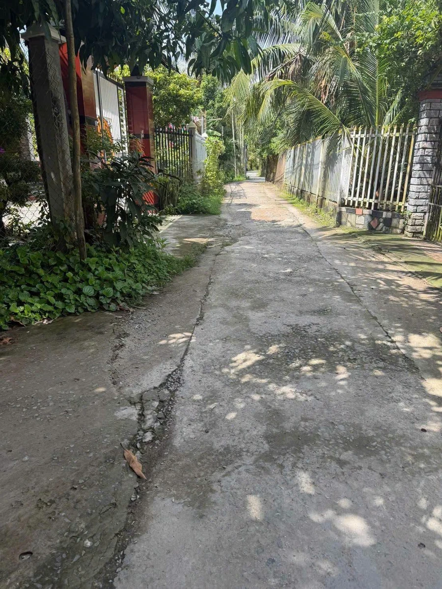 Bán nhà và đất 1000m² giá 750 triệu Tân Thạch - Ảnh 1