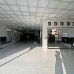 Bán nhà mặt tiền Quang Trung Rạch Giá, 450m2, 5.8 tỷ - Ảnh thu nhỏ 3