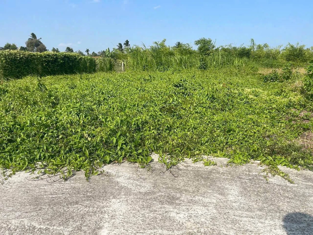 Bán đất vườn 420m² Hiệp Thạnh, Long An - Ảnh thu nhỏ 5