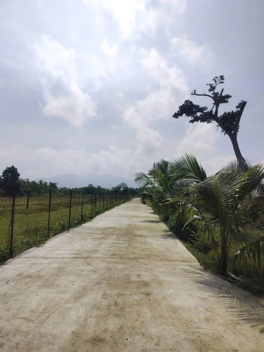 Bán đất nền 1 sào 200m² Xuân Thọ sổ riêng - Ảnh thu nhỏ 2