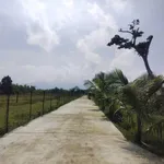 Bán đất nền 1 sào 200m² Xuân Thọ sổ riêng - Ảnh thu nhỏ 2