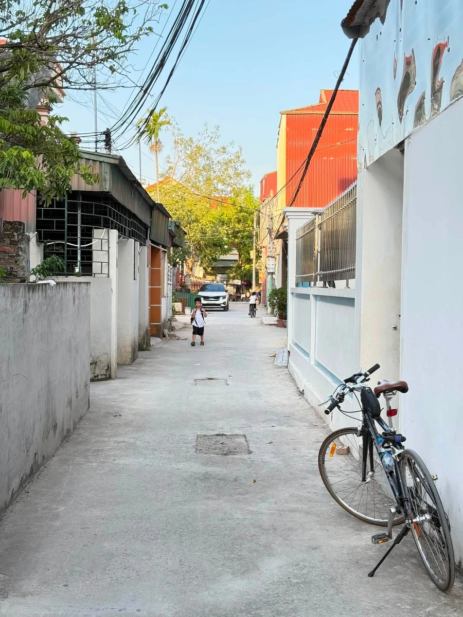 Bán lô đất 48 m² Lý Tử Cấu, Hải Phòng - Ảnh thu nhỏ 3