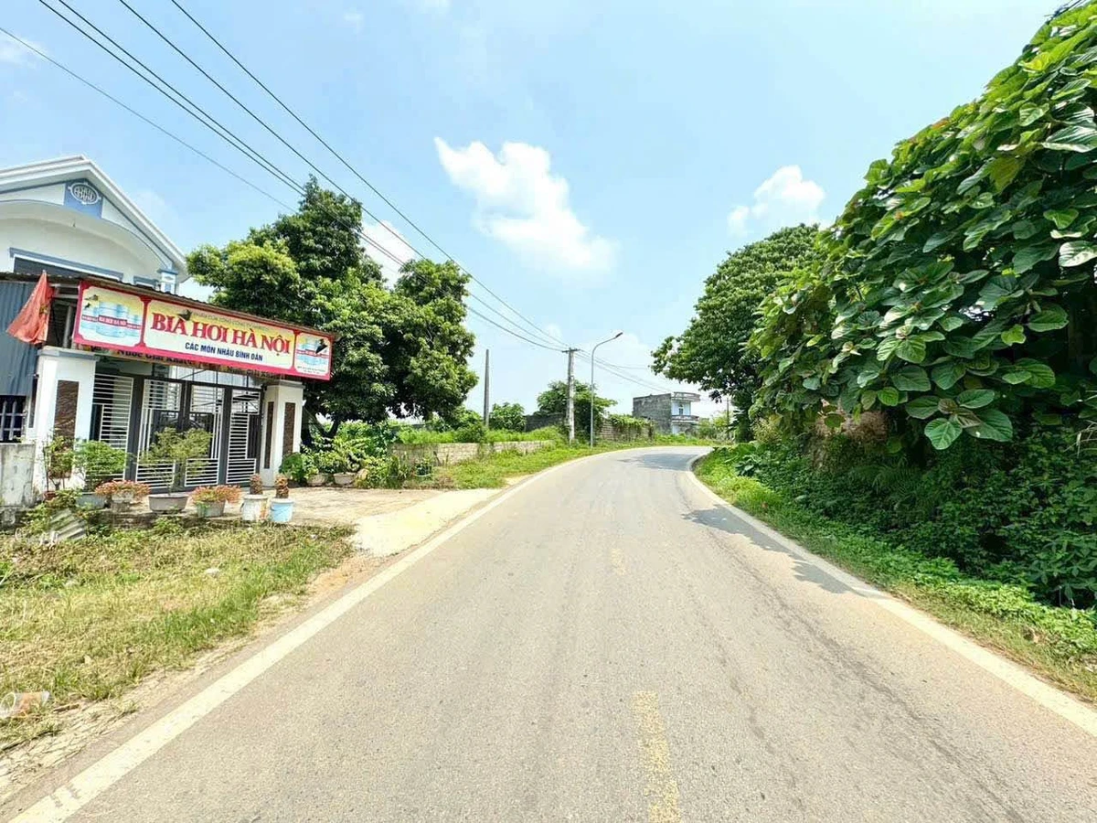 Bán lô góc 2 mặt tiền 2229m² Nhuân Trạch Hòa Bình 20 tỷ - Ảnh thu nhỏ 5