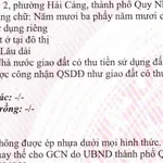 Bán lô đất góc 2 mặt đường Bùi Xuân Phái 54m2 Quy Nhơn - Ảnh thu nhỏ 1
