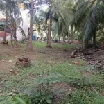 Bán đất 750m² Tân Thành Bình, Mỏ Cày Bắc, Bến Tre - Ảnh thu nhỏ 3