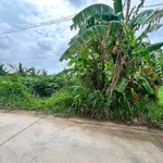 Bán đất nông thôn 4800m² tại xã Tân Xuân, Ba Tri, Bến Tre - Ảnh thu nhỏ 2