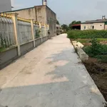Bán lô đất 50m2 mặt tiền 4m43 Tân Hưng Hải Dương 780 triệu - Ảnh thu nhỏ 2