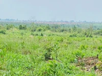 Kẹt tiền nộp học cho con bán nhanh đất vườn view sân bay Long Thành 1.700m2, ngang 21m, sổ đầy đủ - Ảnh thu nhỏ 5
