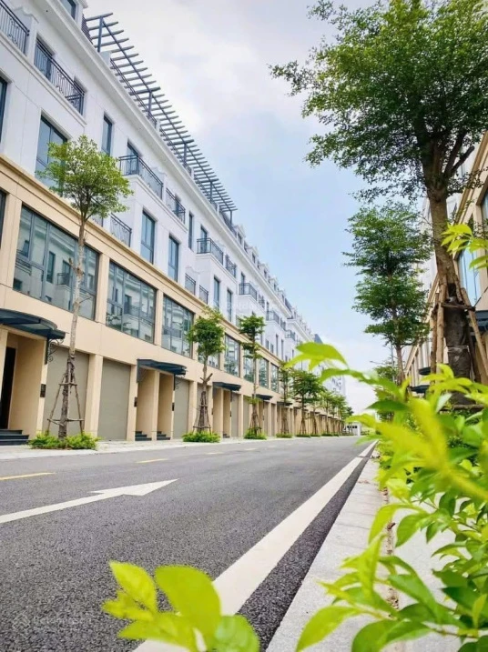 Sốc! Cắt lỗ tận 800 triệu căn liền kề 85m2 Central Riverside - Ảnh thu nhỏ 2