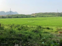 Bán đất 221,9m2 tại Lộc Môn, xã Liên Sơn, 1,2 tỷ, view đẹp chỉ với - Ảnh thu nhỏ 4
