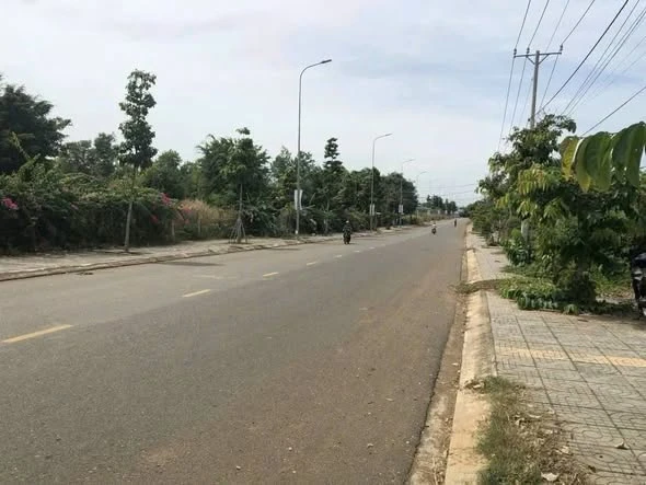 Bán đất sào Bà Rịa 1510m² mặt tiền đường 28 Hoà Long - Ảnh thu nhỏ 3