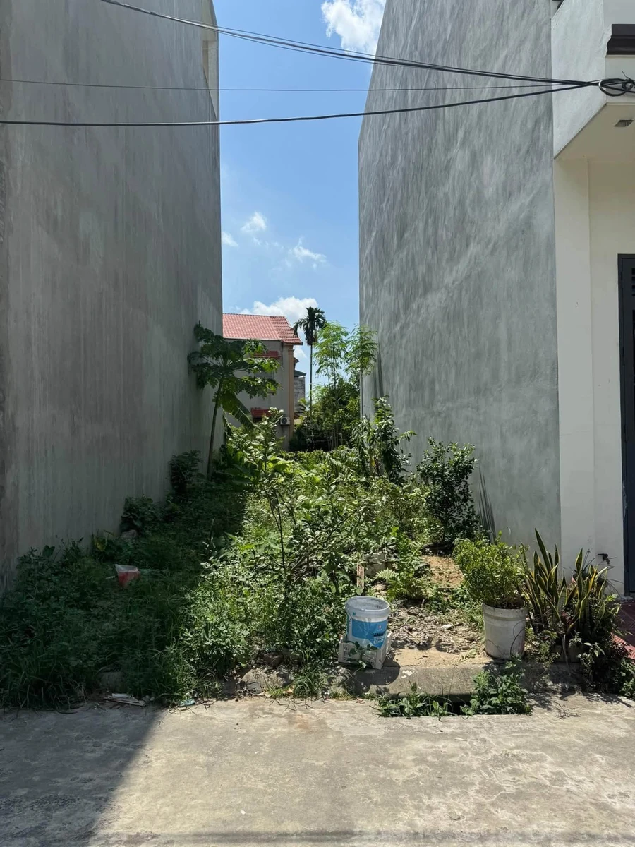 Bán lô đất 72.27m² ngõ Lương Như Học, Tân Hưng, Hải Dương - Ảnh thu nhỏ 2