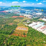 Bán 3,2 sào đất trống phường Tân An, hẻm cấp 1 vành đai QL14 và QL26, giá 4 tỷ - Ảnh thu nhỏ 1