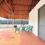 Bán đất vườn 1000m2 ngang 14m, Phú Giáo Bình Dương - Ảnh thu nhỏ 5