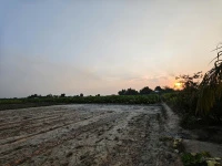 Bán đất 1,7ha Hảo Đước, Châu Thành, Tây Ninh, mặt tiền lớn, có 3.800m² đất thổ cư - Ảnh thu nhỏ 5