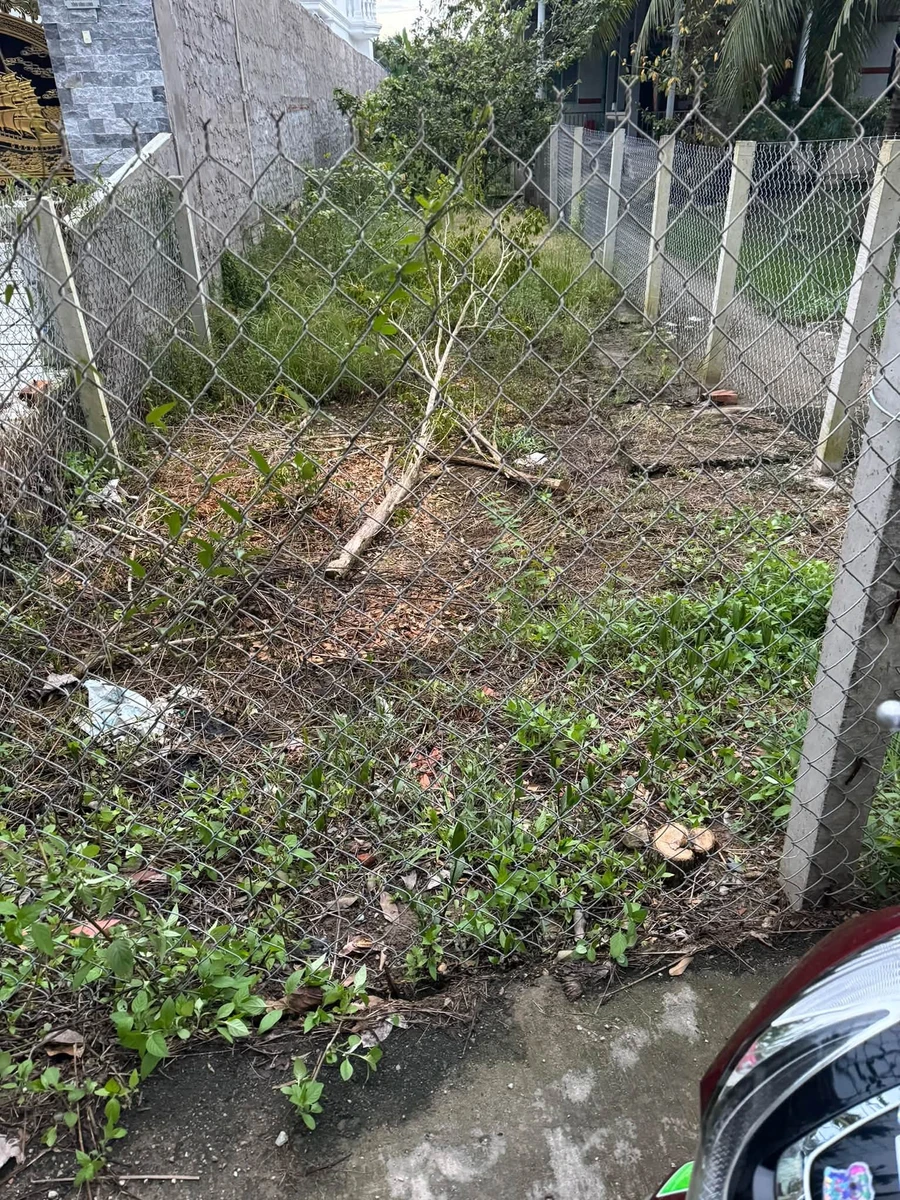 Bán đất 68m² Phú Túc Nhà Bè 520 triệu - Ảnh thu nhỏ 2