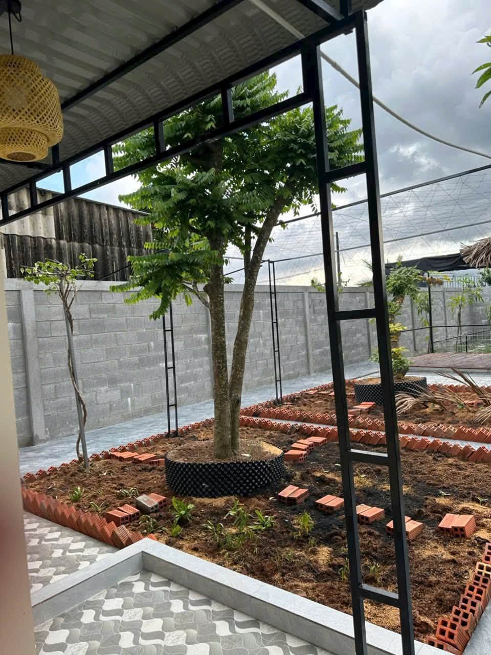 Bán nhà vườn 450m² 2 phòng ngủ Bình Lục Tây Ninh 2 tỷ 290 triệu - Ảnh thu nhỏ 5