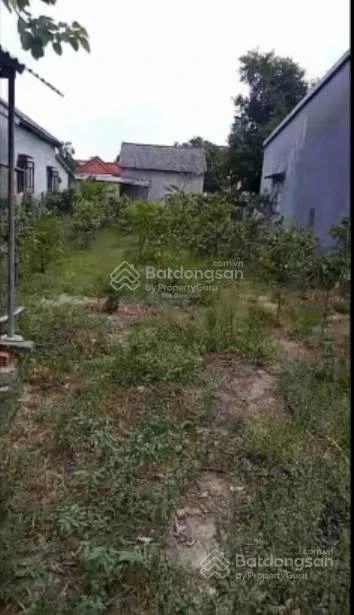 Chính chủ cần gửi bán gấp lô đất giá đầu tư ngay xã Vinh Hiền, Phú Lộc, Thừa Thiên Huế - Ảnh thu nhỏ 3